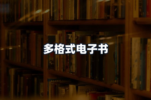 多格式电子书